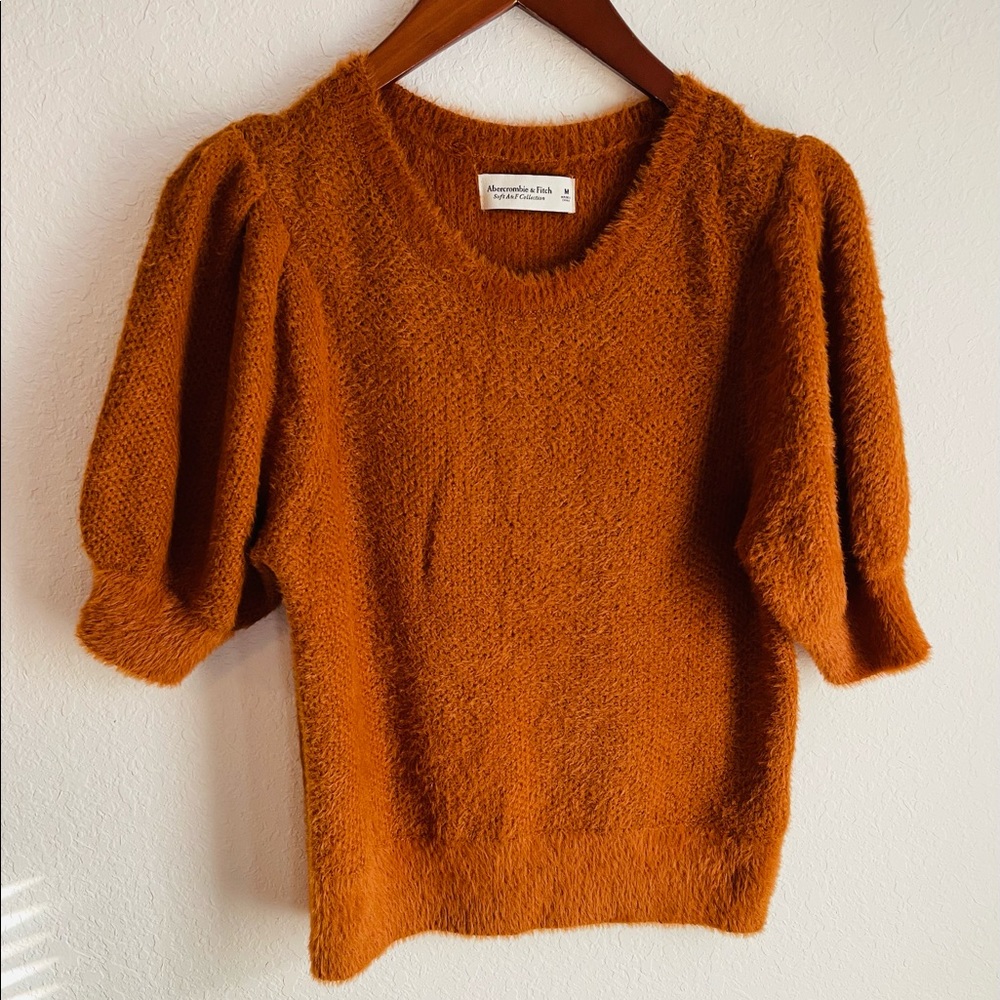 ✨NWT✨ Abercrombie and Fitch puffed short sleeved sweater, US Women’s size M